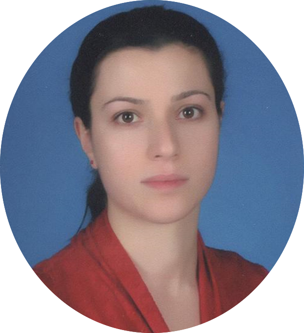 evrim ulusan.png (434 KB)